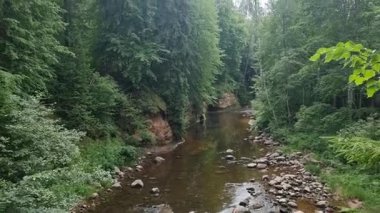 Amata kayalık nehri, güneşli bir yaz günü. Yüksek kalite 4k görüntü