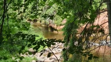 Gauja Ulusal Parkı, Zvarte Kayası 'nın kızıl kayaları. Yüksek kalite 4k görüntü