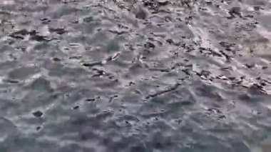 Kıbrıs kıyı şeridi yakınlarındaki kristal berrak turkuaz suyu, hafif dalgalar ve görünür sualtı ayrıntılarıyla sakin bir çekim. Saf deniz, yumuşak güneş ışığı ve berraklık bu videoyu ideal kılıyor.