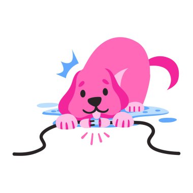 kemik bulmuş köpek