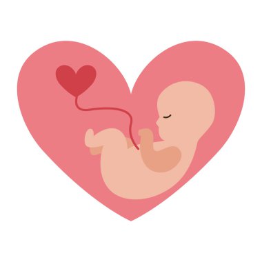 Kalp şeklinde bir nesnenin içinde bir bebek.