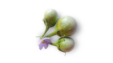 Fresh eggplant vegetable of isolated on white background clipart