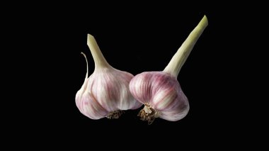 Siyah arka planda taze sarımsak soğanları.