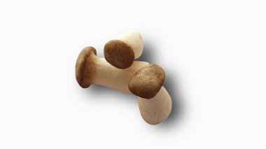 Beyaz arkaplanda kırpma yolu ile izole edilmiş beyaz mantar.