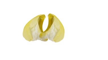 Taze Durian izole edilmiş beyaz arka planda lezzetli görünüyor, kırpma yolu ile.