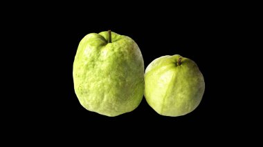 Siyah arka planda iki Guava.