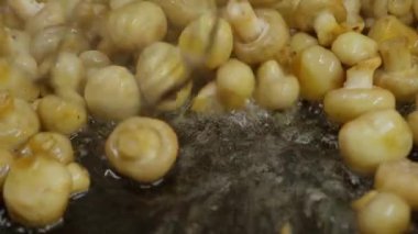 Tavada mantar kızartmak. Mantarlar kazanda kızarır. Kızarmış mantar.