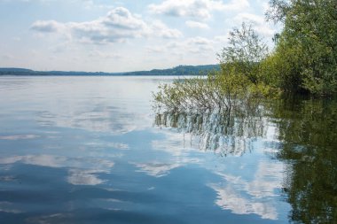 Önünde ağaç olan bir su kütlesi. Su sakin ve gökyüzü bulutlu.