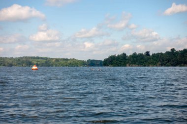 Üzerinde kırmızı bir şamandıra yüzen büyük bir su kütlesi. Su sakin ve berrak.