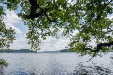 Bir ağaç dalı bir su kütlesinin üzerindedir. Gökyüzü bulutlu ve su sakin.