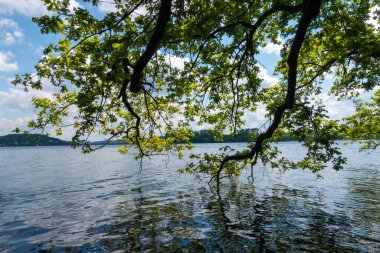 Bir ağaç dalı bir su kütlesinin üzerinde asılı duruyor. Su sakin ve gökyüzü berrak.