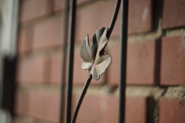 Tuğla duvardaki bir zincirde metal bir yaprak sallanıyor. Yaprak bükülmüş ve bükülmüş. Üzücü ya da melankolik bir görüntü veriyor. Zincir yaprağa bağlı.
