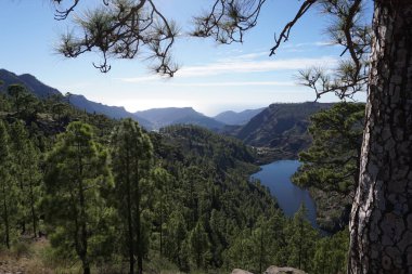 Önünde göl olan güzel bir dağ manzarası. Ağaçlar yemyeşil, gökyüzü açık ve mavidir. Sahne huzurlu ve huzurlu. Rahatlamak için mükemmel bir yer.