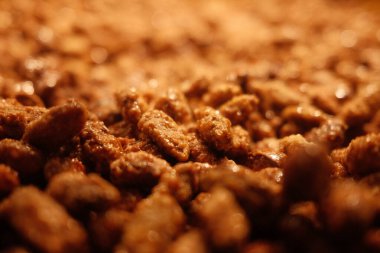 Yakından bakınca bir yığın fındık görünüyor. Fındıklar kahverengi ve bademe benziyor.