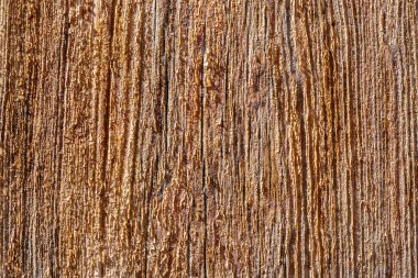 Tahta bir yüzeye yakın çekim ve kumlu bir doku. Ahşap yaşlanmış gibi görünüyor ve kırsal bir hissi var.