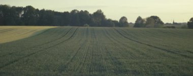 Hollanda 'nın kırsal kesimlerinde yeşil alanlar