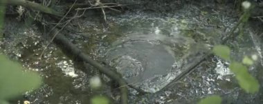 Ormandaki güzel bir nehir manzarası.