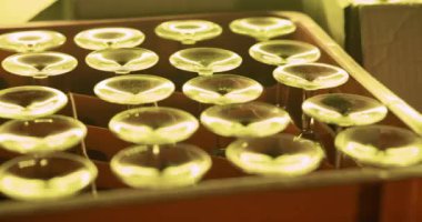 Masada bir sürü şeffaf bardak var.