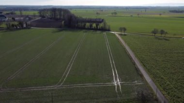 Arka planda çiftlik evi olan büyük bir tarla. Gökyüzü açık ve güneş parlıyor.