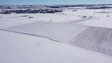Arka planda birkaç ağaç olan karlı bir tarla. Gökyüzü açık ve kar zemini kaplıyor.