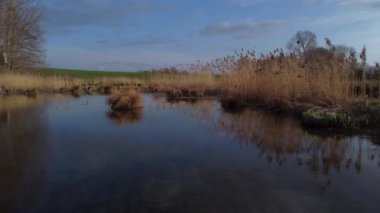 Arka planda birkaç ağaç olan sakin bir su kütlesi. Su durgun ve gökyüzü berrak.