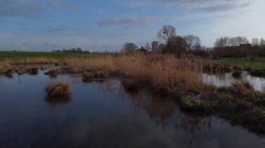 Arka planda bir sürü ot ve ağaç olan bir gölet. Su sakin ve durgun.