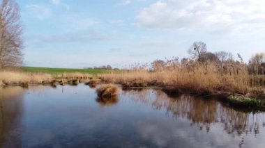 Arka planda birkaç ağaç olan sakin bir su kütlesi. Su durgun ve gökyüzü berrak.