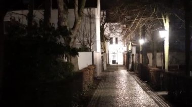 Arka planda ağaç olan karanlık bir cadde. Sokak boş ve sessiz. Sokak lambaları yanıyor, bölgeyi aydınlatıyor.
