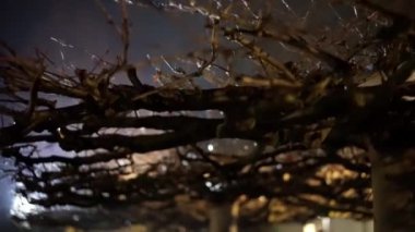 Ölü dallarla kaplı karanlık bir gece. Dallar bükülmüş ve bükülmüş. Sahneye çürüme ve terk edilme hissi veriyor. Sahne kasvetli ve melankoliktir