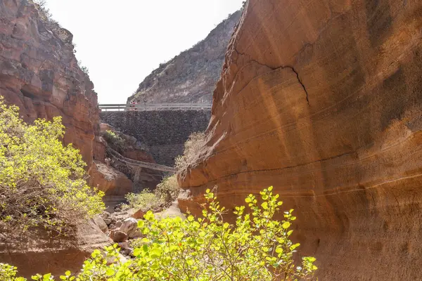 Ortasında yeşil ağaç olan bir kanyon. Kanyon kayalıktır ve çok kirlidir.