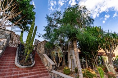 Kırmızı merdiveni olan bir bahçe var. Bahçe kaktüs ve ağaçlar da dahil olmak üzere bitkilerle dolu. Gökyüzü mavi ve hiç bulut yok.