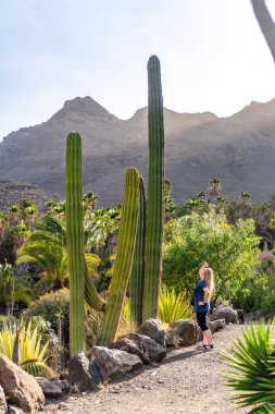 Bir kadın büyük bir kaktüs bitkisinin önünde duruyor. Fabrika kayalar ve diğer bitkilerle çevrili.