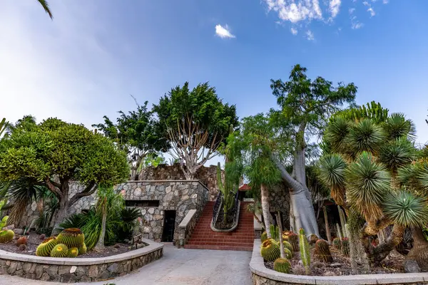 Taş yolu ve taş bir binası olan güzel bir bahçe. Bahçe ağaçlar ve çalılarla dolu, ve gökyüzü açık ve mavi