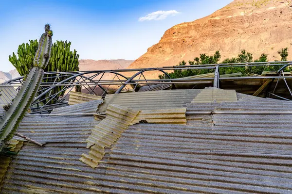 Yerde kaktüs olan kırık bir çatı. Çatı paramparça ve kaktüs ön planda.