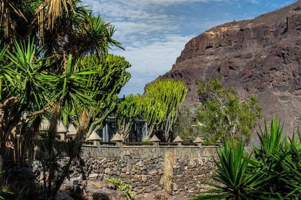Arkasında büyük bir dağ olan yemyeşil bir orman. Ağaçlar uzun ve yeşil ve ön planda büyük bir kaya duvarı var.