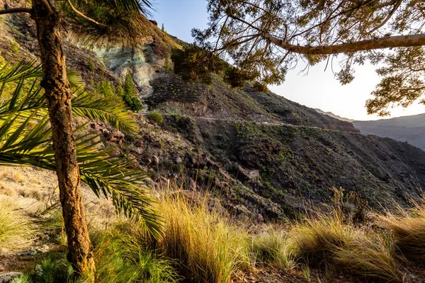 Bir dağ manzarasının ön planında bir ağaç dalı görülür. Dinginlik ve sükunet kavramı, izleyicinin doğanın güzelliğini uzaktan takdir etmesi gibi. Yemyeşil ağaçlar