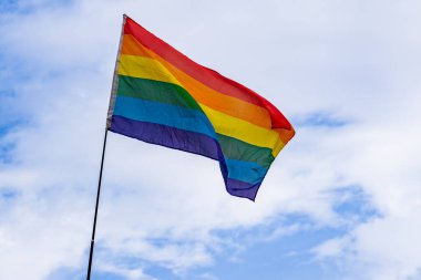 Eşcinsel gururu geçit töreninde LGBT bayrağı