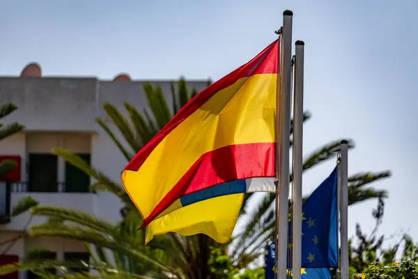 Rüzgarda dalgalanan İspanya bayrağı mavi arkaplan ve kopyalama alanı