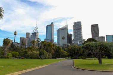 Sydney gökdelenleri ve Kraliyet Botanik Bahçeleri Panoraması