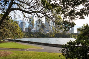 Sydney gökdelenleri ve Kraliyet Botanik Bahçeleri Panoraması