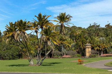 Kraliyet Botanik Bahçesi, Sydney, NSW Avustralya 2010, Eylül