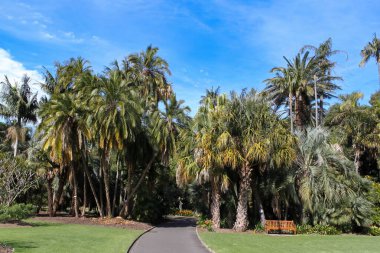 Kraliyet Botanik Bahçesi, Sydney, NSW Avustralya 2010, Eylül