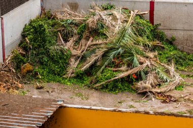 Bir yığın ölü yaprak ve dallar yerde bir havuzun yanında. Yığın büyük ve dağınık ve yakın zamanda meydana gelen bir fırtınanın ya da başka bir doğal olayın sonucu gibi görünüyor. Sahne biraz kaotik.