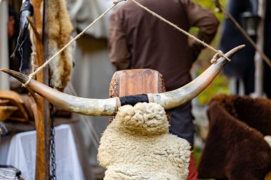 Büyük boynuzlu bir hayvan kafası bir ipe asılıyor. Kafası beyaz bir battaniyeyle kaplıdır.