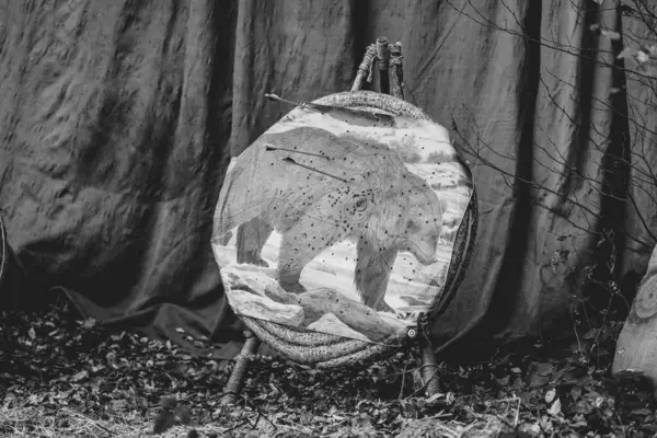 Bir ayı oyması ahşap bir stantta oturuyor. Bir ayının oyması ve yapraklar ve dallarla çevrili.