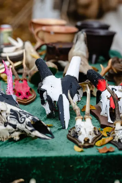 Bir sürü kafatası ve boynuzu olan bir masa, bazıları boyanmış. Kafatasları ve boynuzları gizemli ve entrikacı bir şekilde düzenlenmiş.