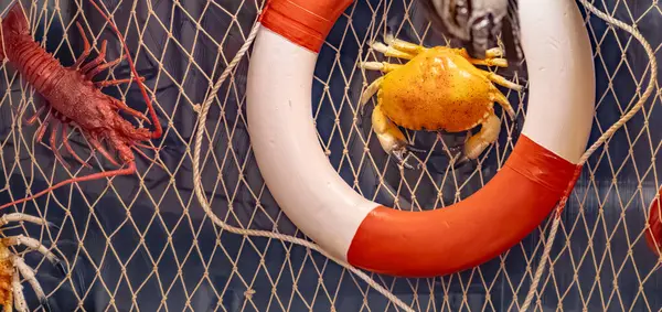 Üzerinde kırmızı-beyaz can yeleği olan bir ağ. Ağ farklı deniz canlılarıyla dolu.