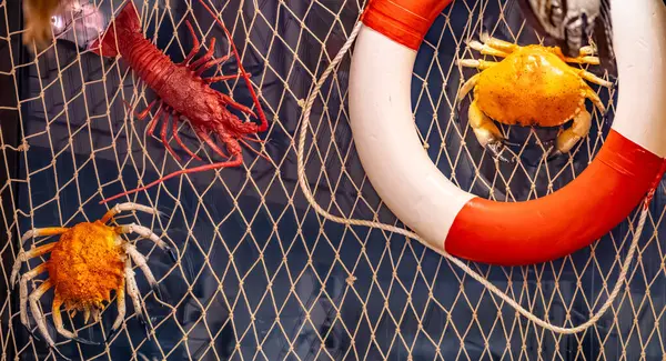 Kırmızı ve beyaz şamandıralı bir ağ ve birkaç yengeç ve diğer deniz canlıları. Ağ tavandan sarkıyor.