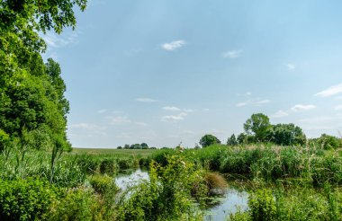 İçinde küçük bir dere akan yemyeşil bir alan. Gökyüzü açık ve mavidir. Uzakta uçan birkaç kuş vardır. Sahne huzurlu ve sakin, suyla birlikte.