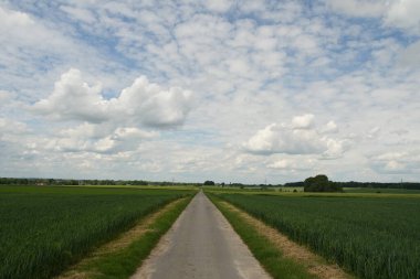 Yeşil çim tarlasından geçen bir yol. Gökyüzü bulutlu ve güneş parlıyor